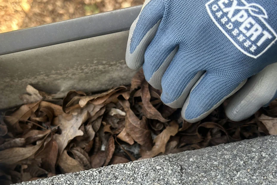 Gutter Cleaning Orange Mound