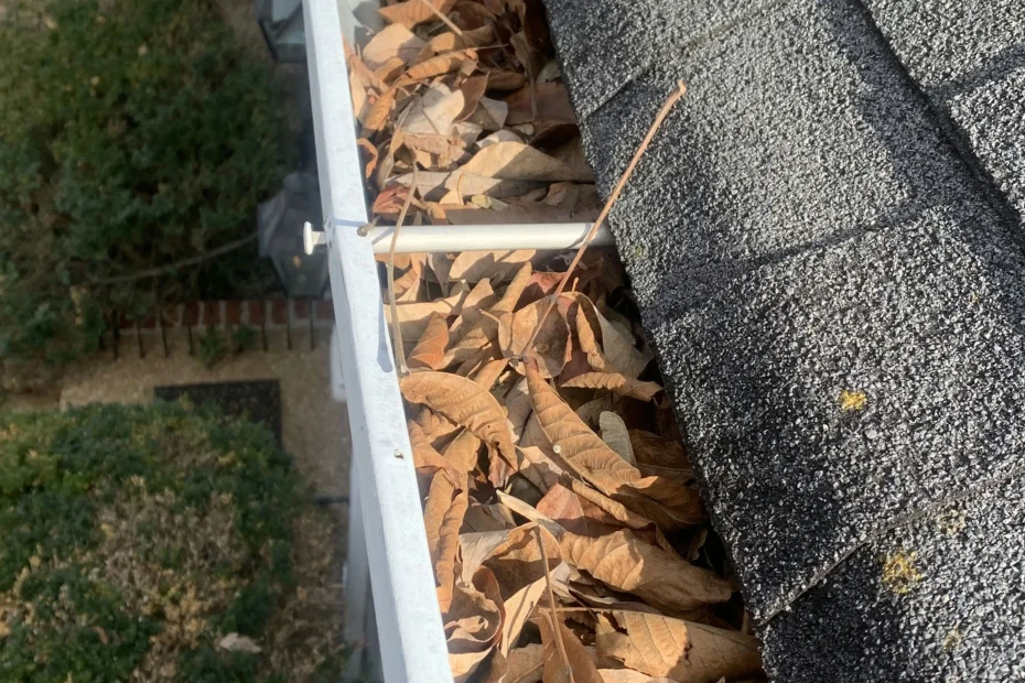 Gutter Cleaning Orange Mound