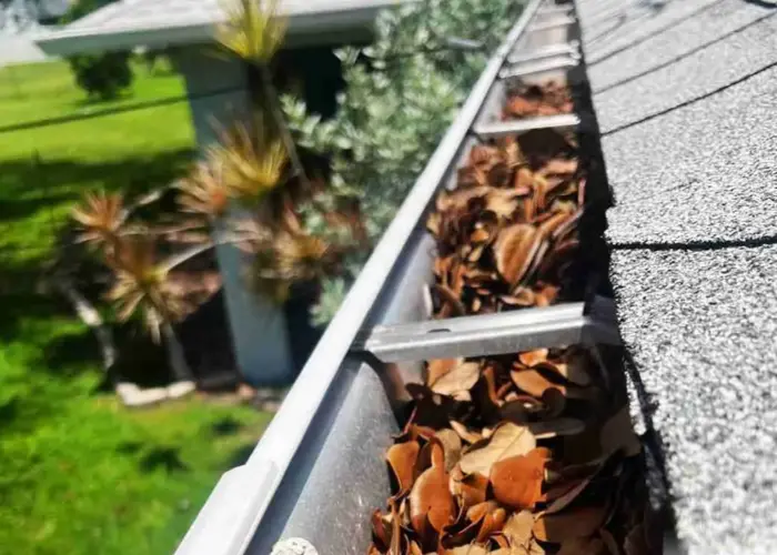 Gutter Cleaning Orange Mound home page